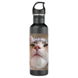 Cat Face 710 Ml Water Bottle