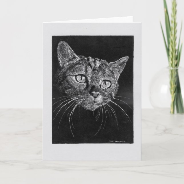 Cat Face blank card. Card (Front)