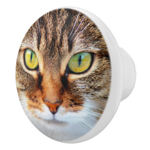 Cat face ceramic knob