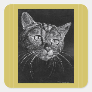 Cat Face Drawing By Mark Edward Westerfield   Square Sticker