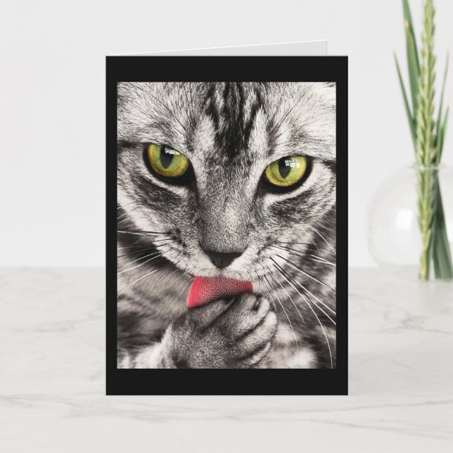 cat face greeting card (Front)