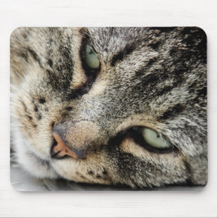 Cat Face Mouse Mat