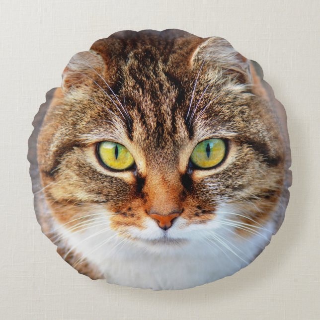 Cat face round cushion (Front)