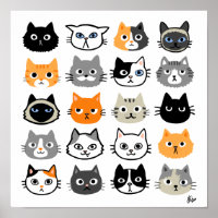 Cat Faces | Cute, Funny and Annoyed Cats