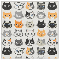 Cat Faces | Cute, Funny and Annoyed Kitty Cats