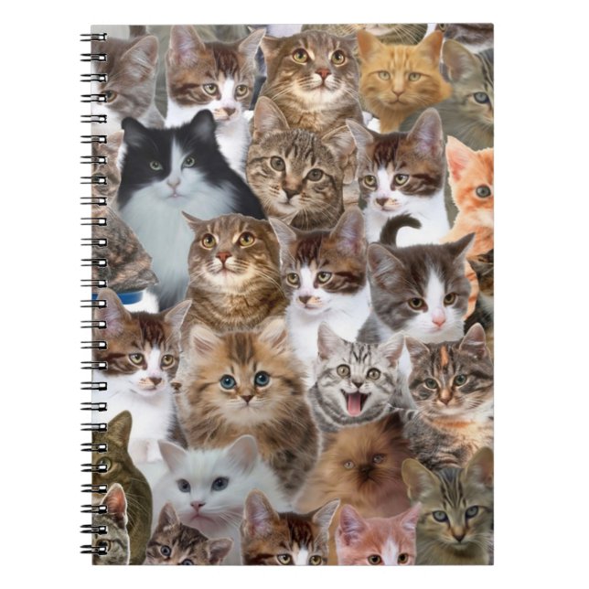 Cat Faces Pattern Notebook (Front)