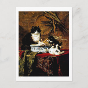 Cat Family, Henriëtte Ronner-Knip Postcard