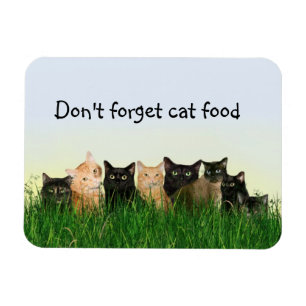 Cat family magnet