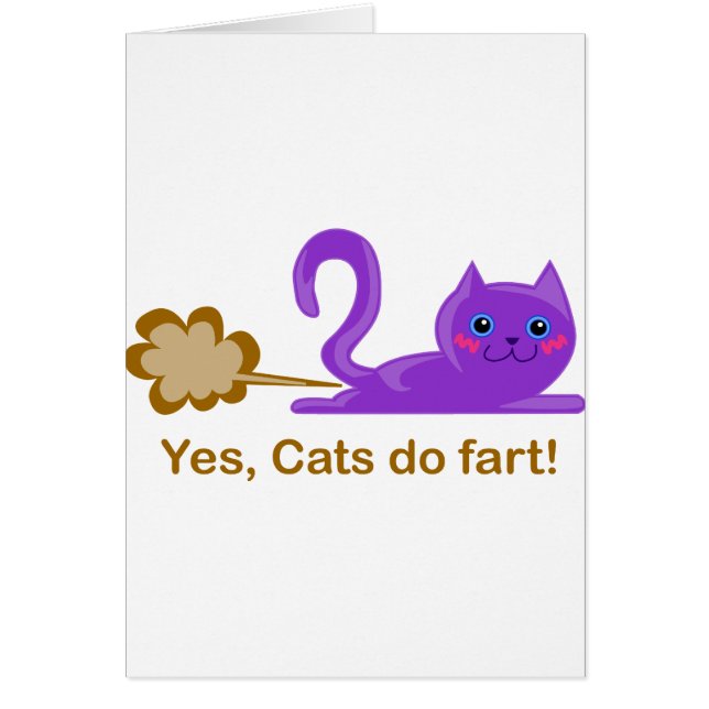 Cat fart - farting cat (Front)