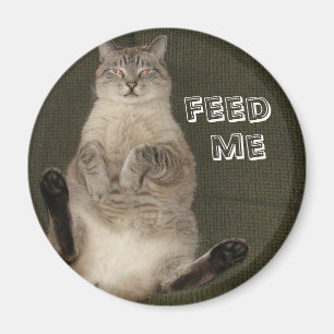 Cat "FEED ME" Round Magnet