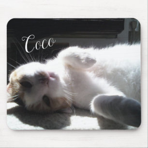 Cat Feline Mouse Pad! Mat