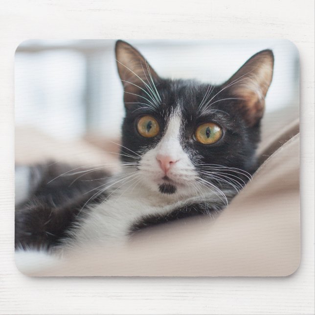 cat, feline, pet mouse mat (Front)