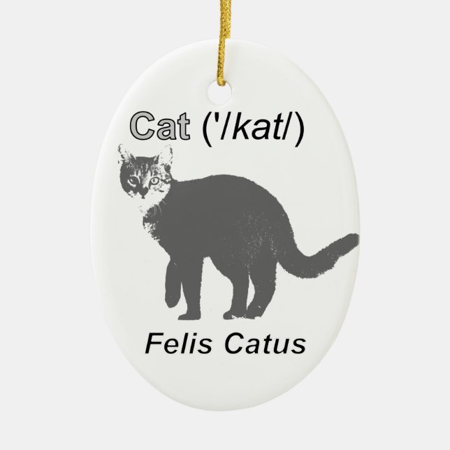 Cat Felis Catus Ceramic Tree Decoration (Front)