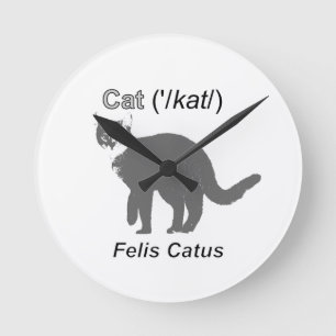 Cat Felis Catus Round Clock