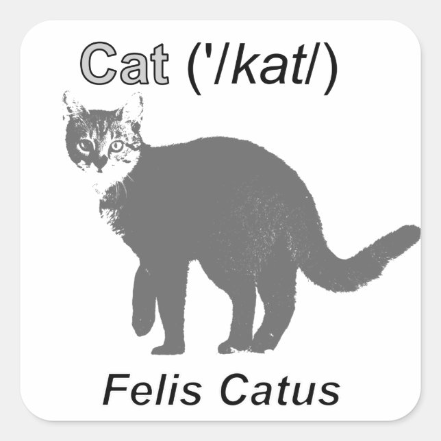 Cat Felis Catus Square Sticker (Front)