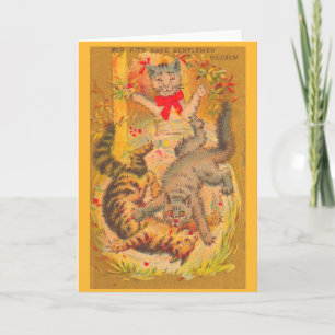 cat fight card