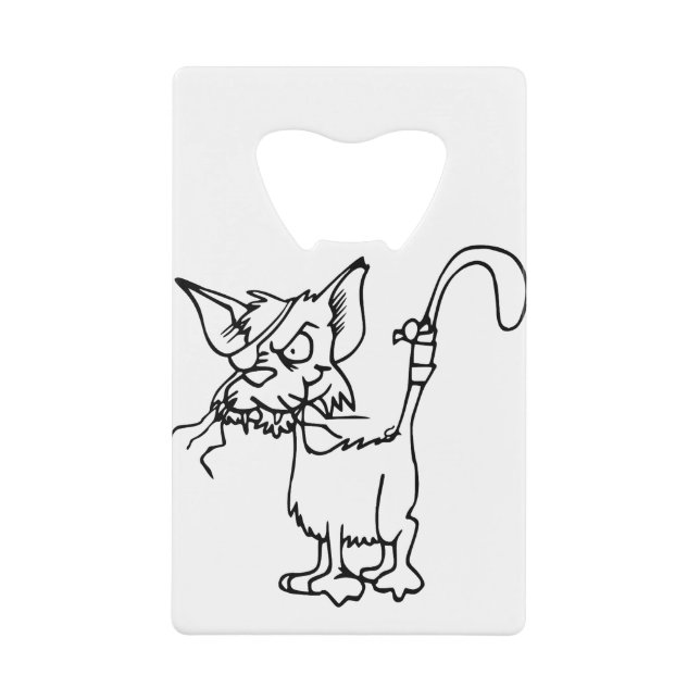 Cat Fight Injured Animal Bandage Feline Domestic (Front)