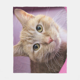 Cat Fleece Blanket