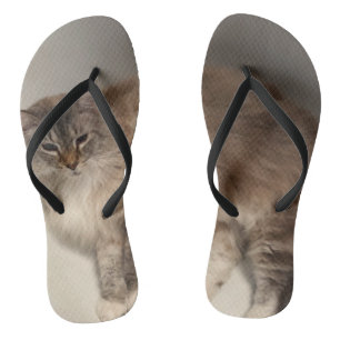 Cat Flip Flops