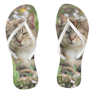 Cat Flip Flops