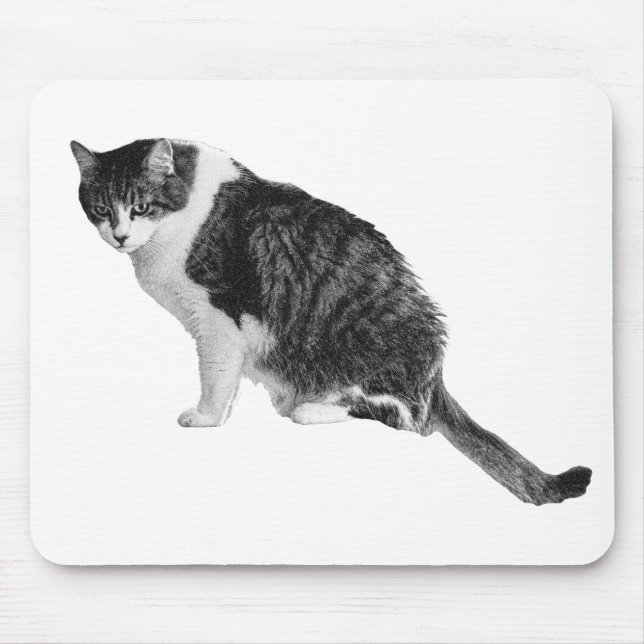 Cat Focus Mousepad Supports Tranquil Workday Flow (Front)