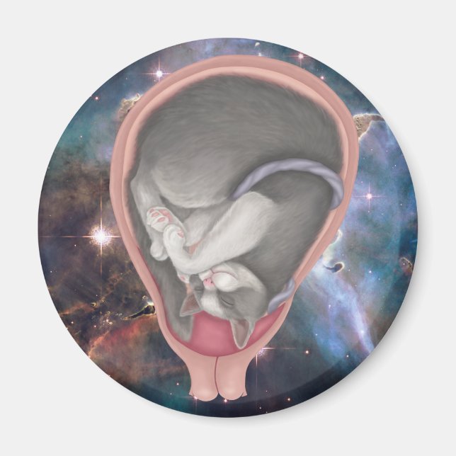 Cat Foetus Magnet (Front)