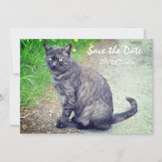 Cat Folded Save The Date Invitation Card