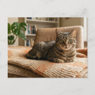 Cat Forever Home Announcement Postcard