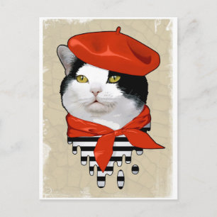 cat. Frenchman Postcard
