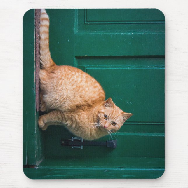 cat, front door, pet mouse mat (Front)
