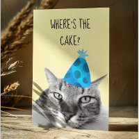 Cat Funny Birthday Card Where's the cake