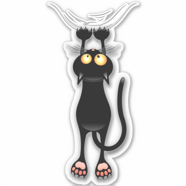 Cat funny Character Scratching Fabric (Front)