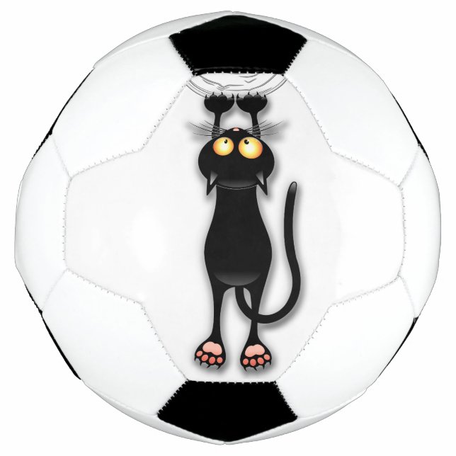 Cat funny Character Scratching Fabric Football (Front)