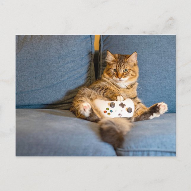 Cat Gamer Postcrossing Postcard (Front)