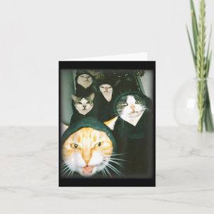 Cat Gang Meme Funny Chaotic Cats Unhinged Feline H Card