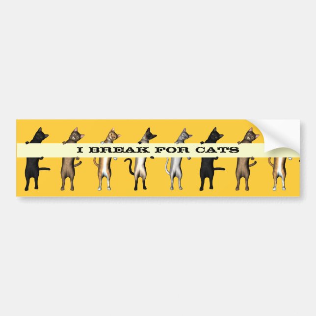 Cat Gang With Banner Bumper Sticker (Front)