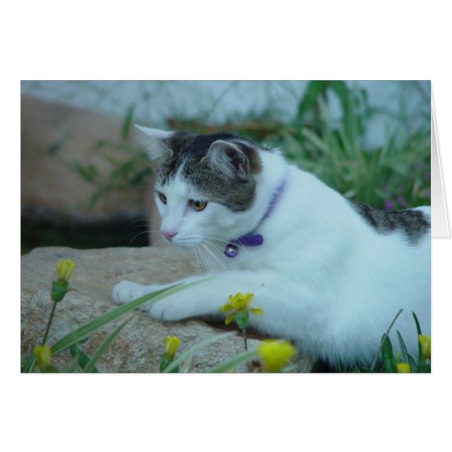 Cat Garden Gazing Greeting Card (Front Horizontal)