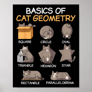 Cat Geometry Math Funny Cat Gifts For Cat Dad, Cat Poster