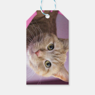 Cat Gift Tags