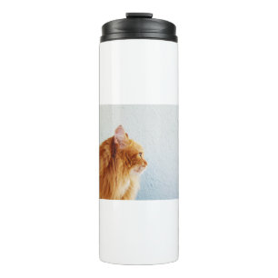 Cat Ginger Fluffy Cat Pet Cat Looks Animals Thermal Tumbler