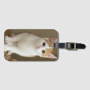 Cat, Ginger, Pet Luggage Tag
