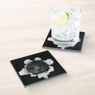 Cat Glass Coaster