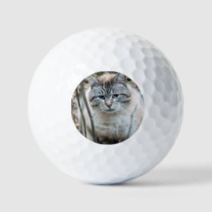 Cat Golf Balls