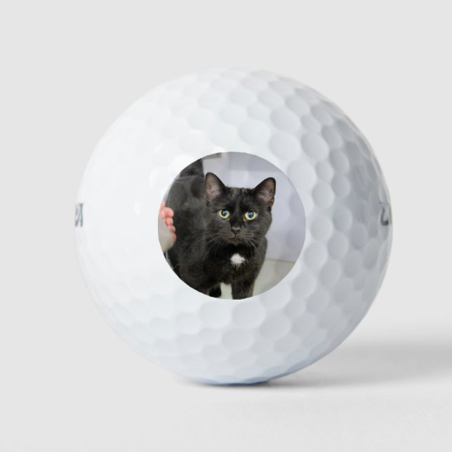 Cat Golf Balls (Front)