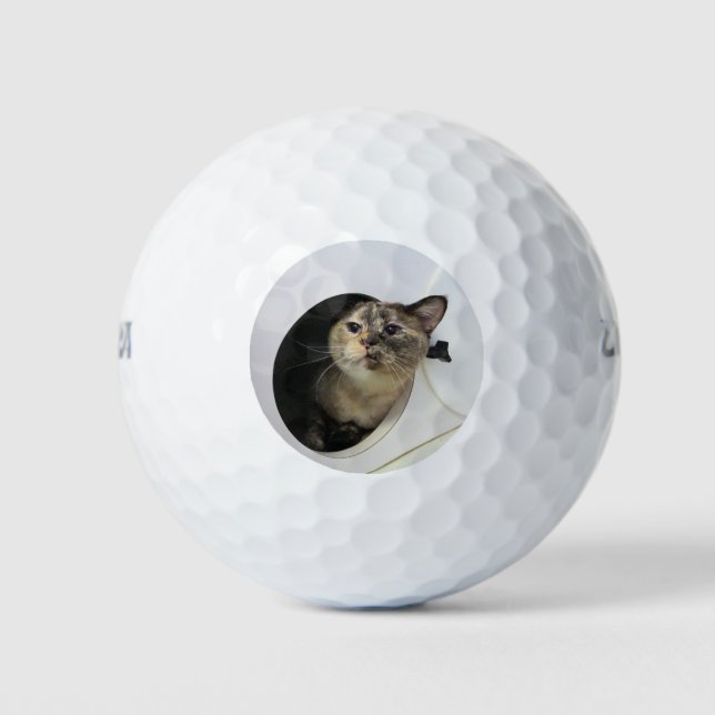 Cat Golf Balls (Front)