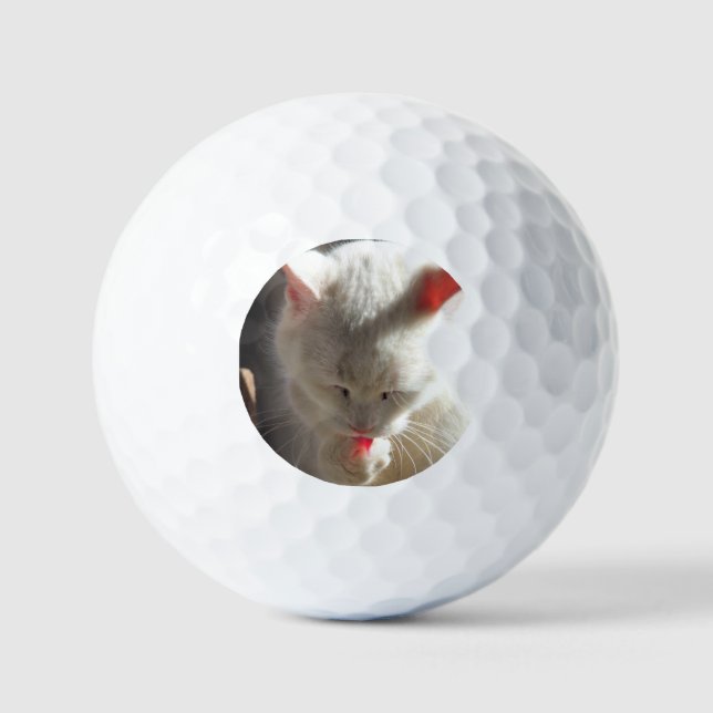 Cat  golf balls (Front)