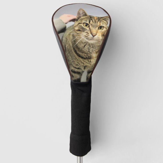 Cat Golf Head Cover (Front)