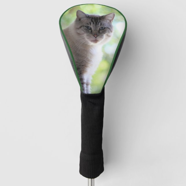 Cat Golf Head Cover (Front)