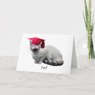 Cat Graduation  Card