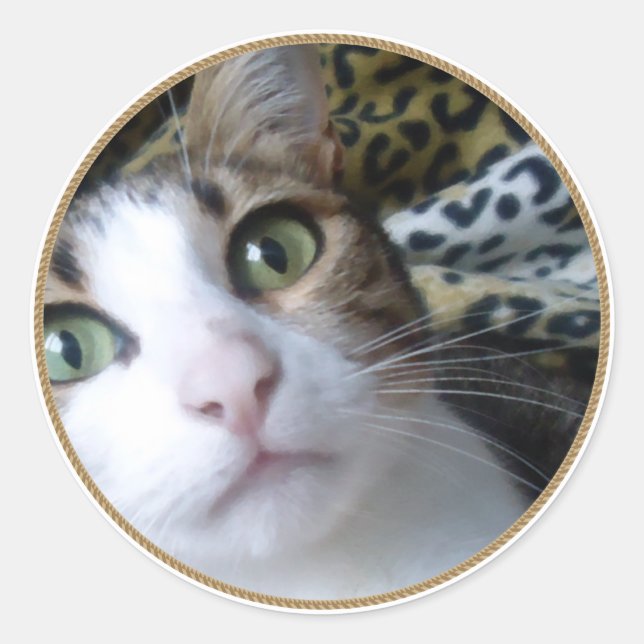 Cat Green Eyes - round sticker (Front)